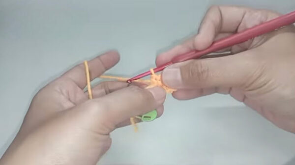 Crocheting first stitches into the magic ring with red hook