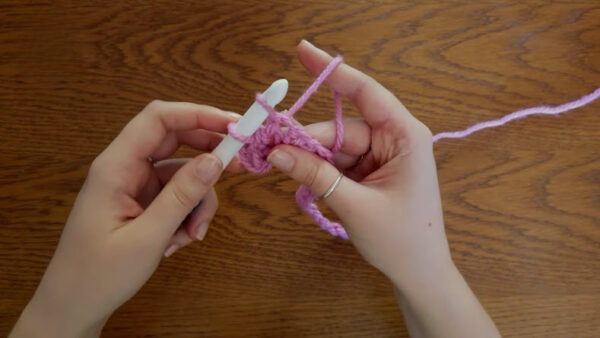 24 single crochet stitches worked into the foundation row.