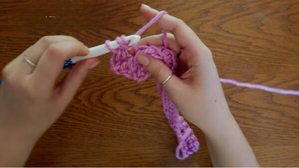 Back-loop-only single crochet rows shaping the panel.
