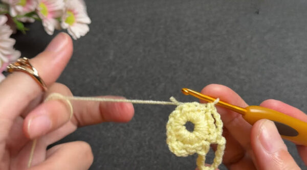 Chain-10 picot loop stitch for flower petal motif