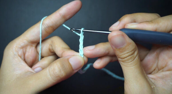 Hook working double crochet into mint foundation chain.