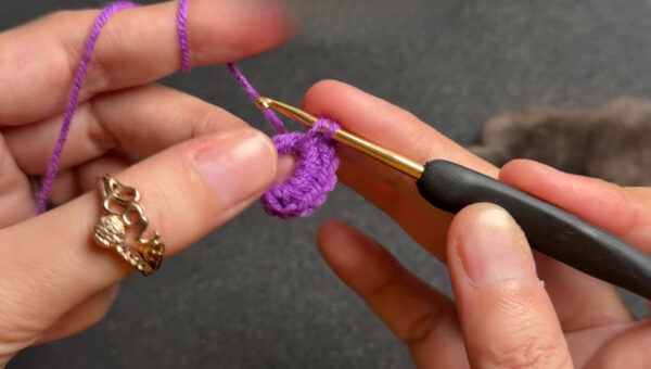 Single crochet stitches worked into circle base