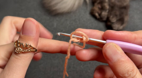 Slip knot on hook to start crochet coaster pattern