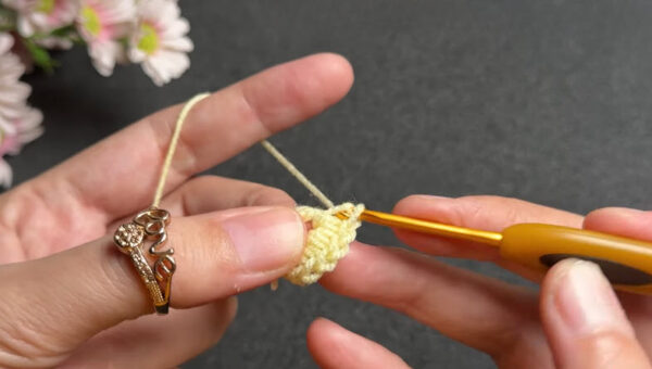 Working 16 single crochet stitches around the ring