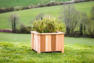 Creative wood projects and rustic build ideas