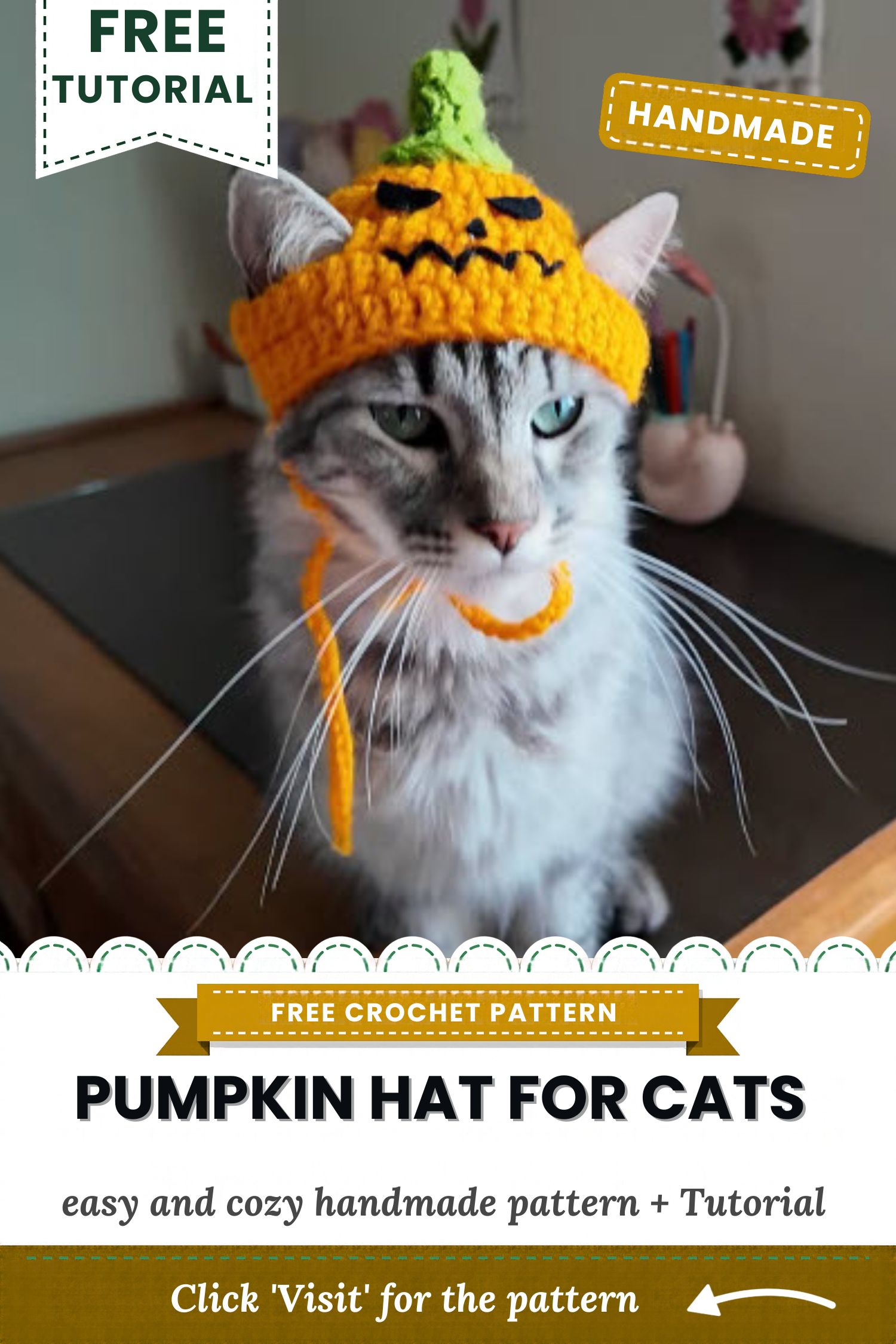 Finished crochet pumpkin hat for cats with a stitched felt face