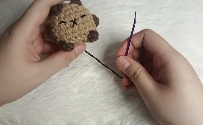 Embroider the black eyes and X nose on the capybara.