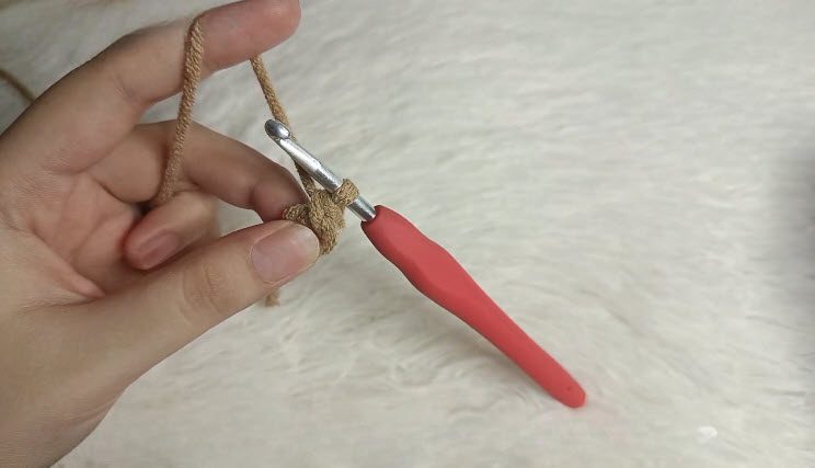 Make 6 single crochets in a magic ring for the capybara.