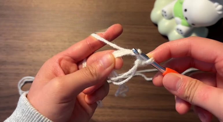 Make a magic ring with the yarn and hook.
