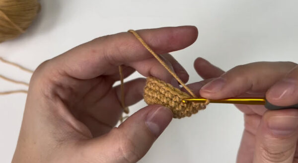 Round 7 Crocheting the sides of the hat.