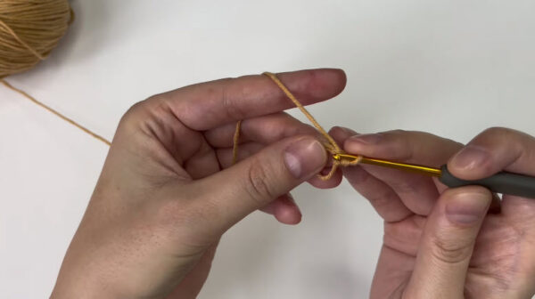 Starting a magic ring with brown yarn.