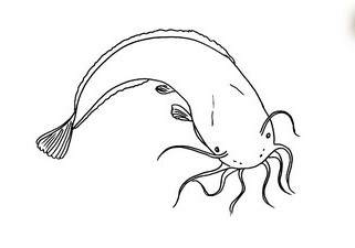 Easy drawing ideas for beginners